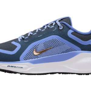 Buty Nike Pegasus 41 GORE-TEX FQ1357-400