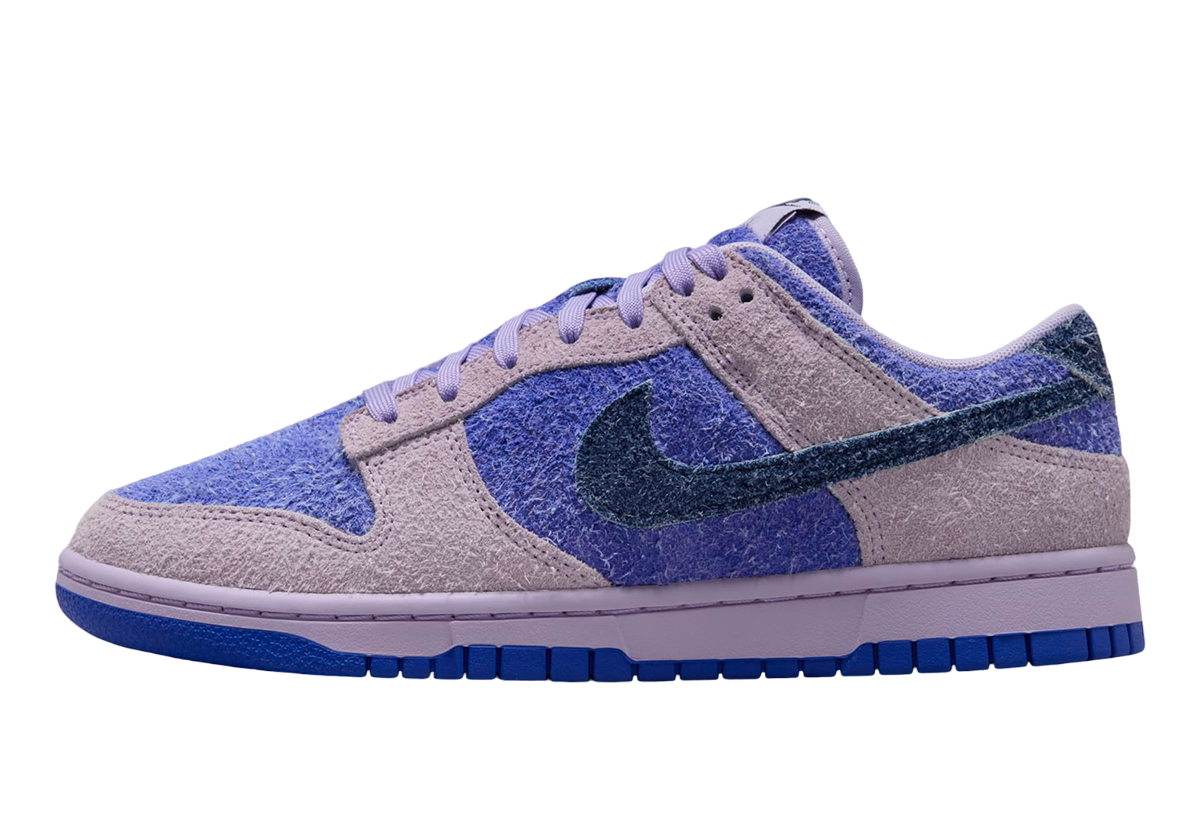 Buty Nike Dunk Low Retro HQ3431-515