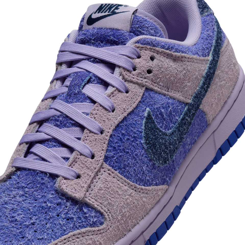 Buty Nike Dunk Low Retro HQ3431-515 - obrazek 6